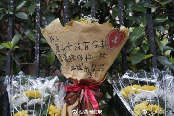 韦世豪妻子更新社媒度假，王大雷评论：我们的饺子是最棒的👍